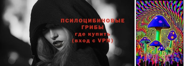 apvp Алзамай
