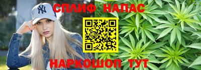 ALPHA PVP Пугачёв