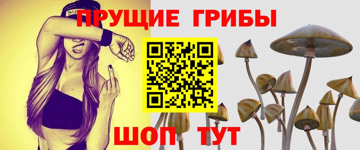 Ступино  Псилоцибиновые грибы ЛСД  хочу наркоту  Вход с VPN 