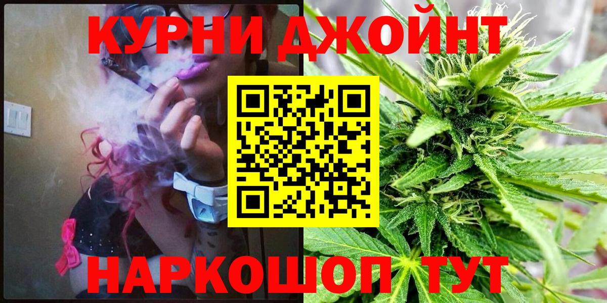 Бошки Шишки планчик Ступино